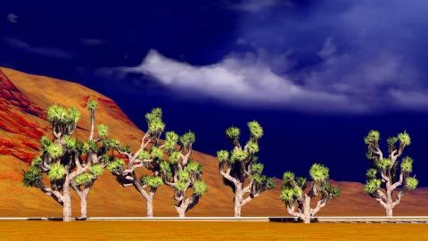 Joshua trees on desert Ilustración de archivo