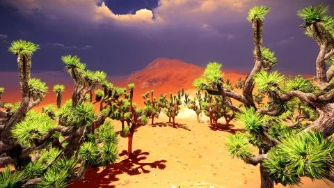 Joshua trees on desert Stock-Illustration