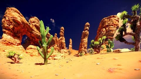 Joshua trees on desert Stock Illustration