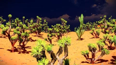 Joshua trees on desert Stock Illustration