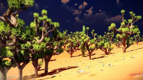 Joshua trees on desert 库存插图
