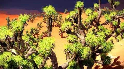 Joshua trees on desert Stock Illustration
