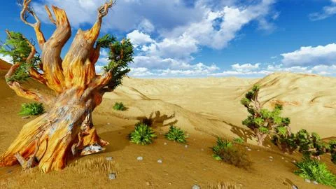 Joshua trees Stock Illustration