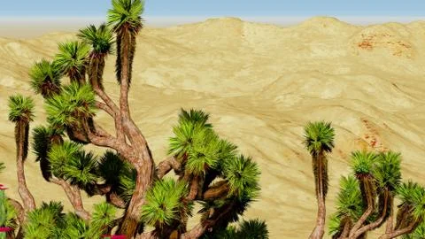 Joshua trees Illustrazione stock