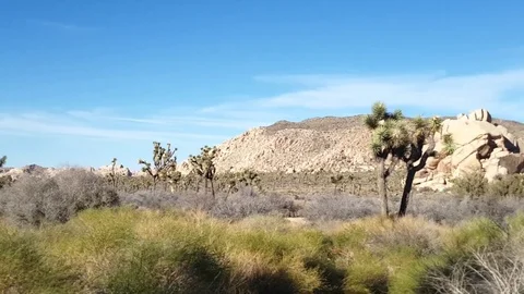Joshua trees, Motion time lapse of rock piles in Joshua tree national park,.. Stock Footage 73412164