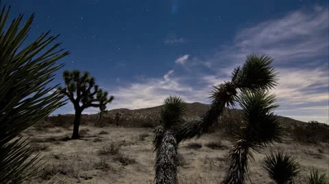 Joshue Tree Desert time lapse Stock Footage 23437588