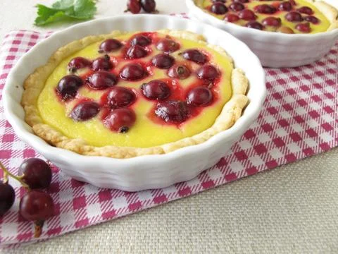 Jostaberry cake with pudding Stock Photos
