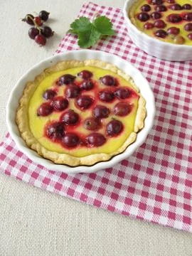 Jostaberry cake with pudding Stock-Fotos