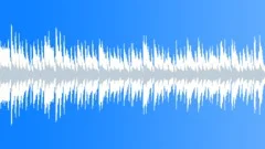 The Journey Acoustic Loop Stock Music