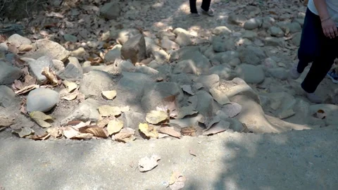 Journey Across the Stone Path Stock Footage 313565782