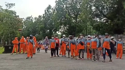 Journey 動画素材 167203453