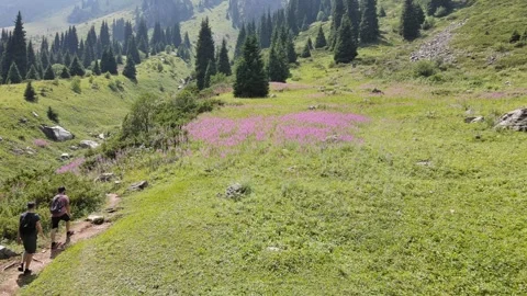 Journey. Stock Footage 251511230