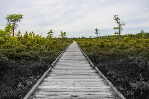 Journey Forward Stock Photos
