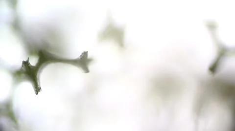 Journey to the inside a sponge Stock Footage 52385051