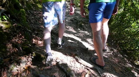 Journey on a mountain trail Vidéo 65413296