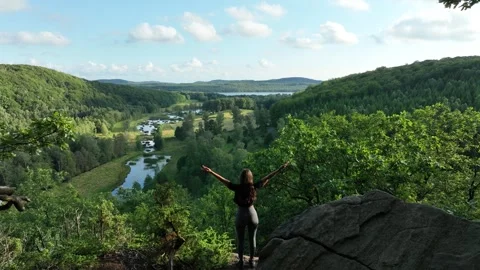 A Journey Over the Swedish Forests Video stock 280212919