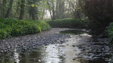 Journey of Serenity: The Mesmerizing Flow of Rivers Stock Footage 244954967