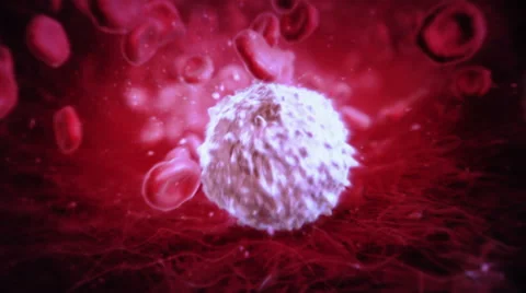 Journey through the blood stream into a white blood cell. Cold colors. Stock Footage