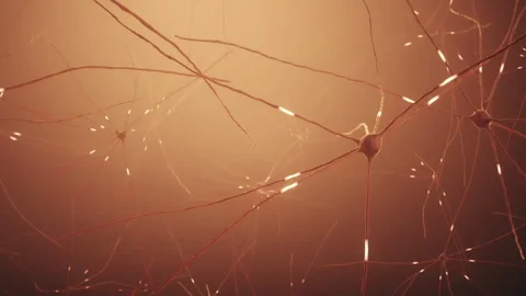 Journey Through Brain And Complex neuron Cells network And Synapses system Stock Footage 273758487