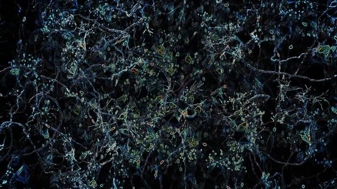 Journey through brain and network of neuron cells and synapses. Stock Footage 117935620