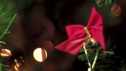 Journey through the Christmas tree Stock Footage 144660206