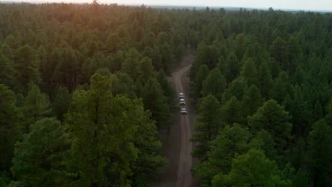 Journey through the forest on a winding road in the afternoon sun Stock Footage 327872018