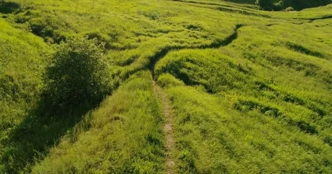 Journey through the Golden Ring. rone flying under juicy grass green and meadows Stock Footage 82362204
