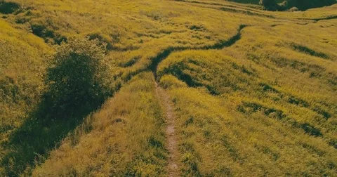 Journey through the Golden Ring. rone flying under juicy grass green and meadows Stock Footage 82362568