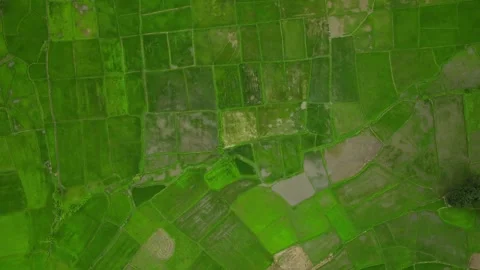 Journey Through the Green Valleys Stock Footage 244469274