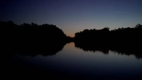 Journey through the Mangroves Stock Footage 293891867