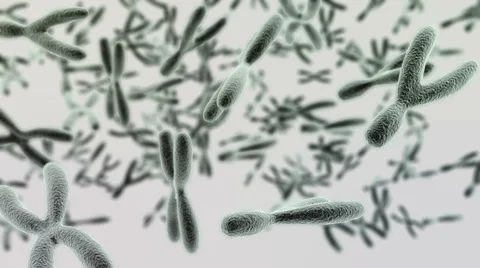 Journey through many chromosomes on a light background HD video Stock Footage 53061389