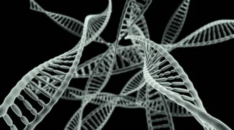 Journey through many DNA chains on a black background HD video Stock Footage 53061785