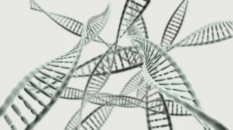 Journey through many DNA chains on a light background HD video Stock Footage 53061900