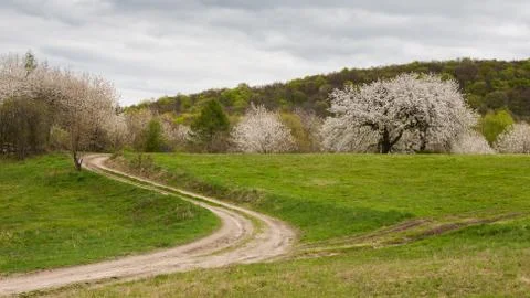 Journey through the meadow Stock Photos