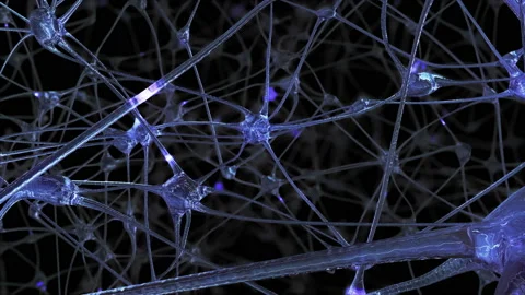 Journey through a network of neuronal cells and synapses in the brain Stock Footage