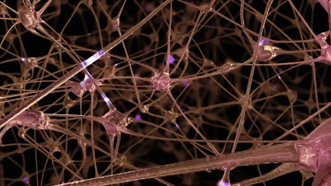 Journey through a network of neuronal cells and synapses in the brain Stock Footage 95607592