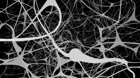 Journey through a neuron cell network inside the brain. Stock Footage 81865817