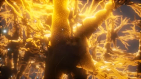 Journey through a neuron cell network inside the brain Stock Footage 118439663