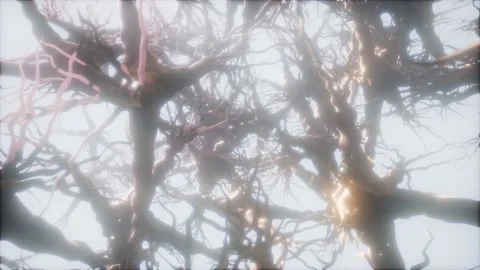 Journey through a neuron cell network inside the brain Video stock 122444519