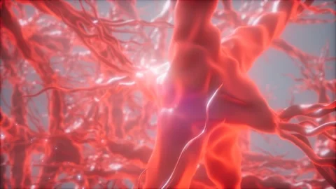 Journey through a neuron cell network inside the brain Video stock 137569463