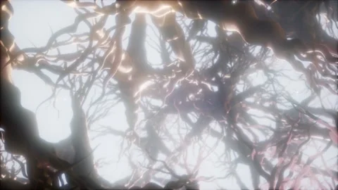 Journey through a neuron cell network inside the brain Vidéo 143822748