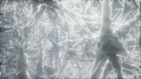 Journey through a neuron cell network inside the brain Video stock 144090642