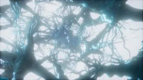 Journey through a neuron cell network inside the brain Vidéo 146074711