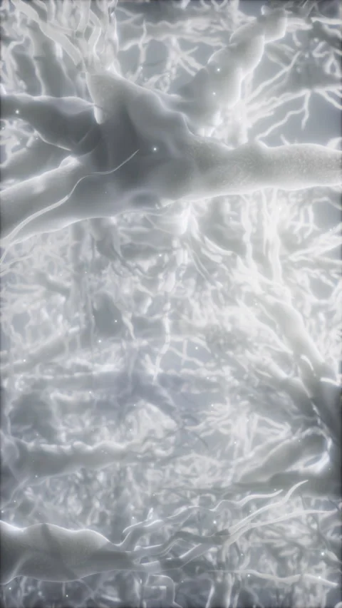 Journey through a neuron cell network inside the brain Stock Footage 272664015