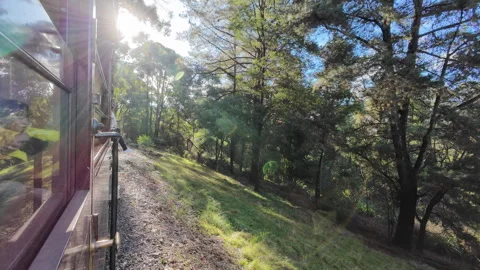 Journey Through the Woods: A Puffing Billy Railway Adventure Video stock 276543552