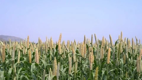 Jower Stock Footage 107003757