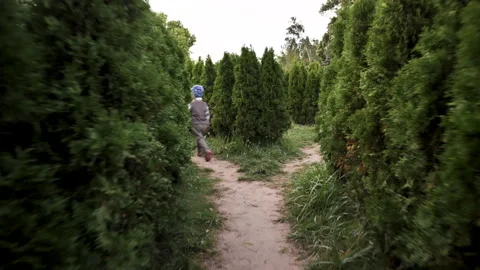 Joy and fun two-year-old toddler happily traveling through green maze of thuja Stock Footage 273659990