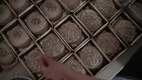 The Joy of Breadmaking: A Beginner's Guide to Baking at Home Stock Footage 236993829