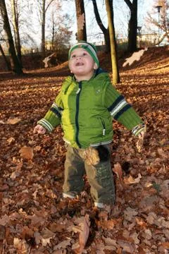 Joy from falling foliage Stock Photos