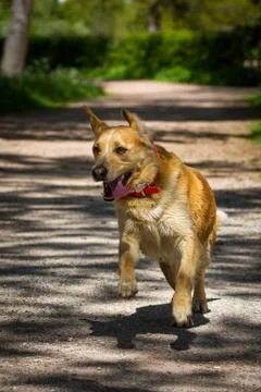 Joy &amp; Fun Stock Photos